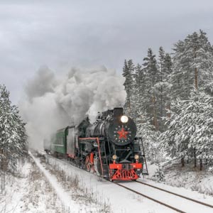 железнодорожный фотограф сергей крылов зима паровоз ржд лебедянка пар пассажирский пригородный поезд поезд рельсы лес снег